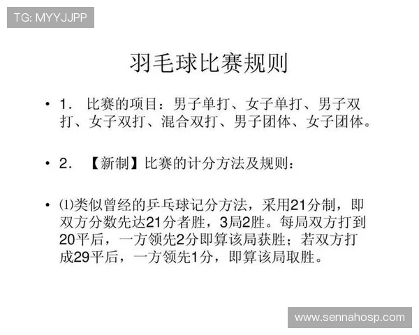 南京羽毛球队在锦标赛中的战术表现分析与点评探讨