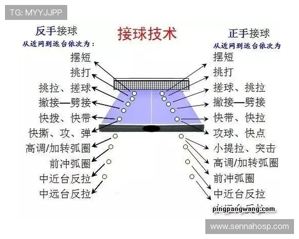 成都乒乓球队的节奏揭秘与深度分析:乒乓球运动的魅力与技艺探讨 成都乒乓球队的节奏揭秘与深度分析:乒乓球运动的魅力与技艺探讨