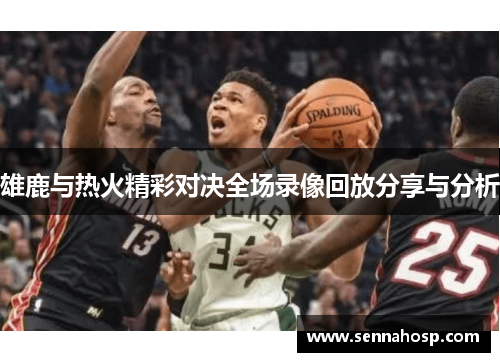 雄鹿与热火精彩对决全场录像回放分享与分析